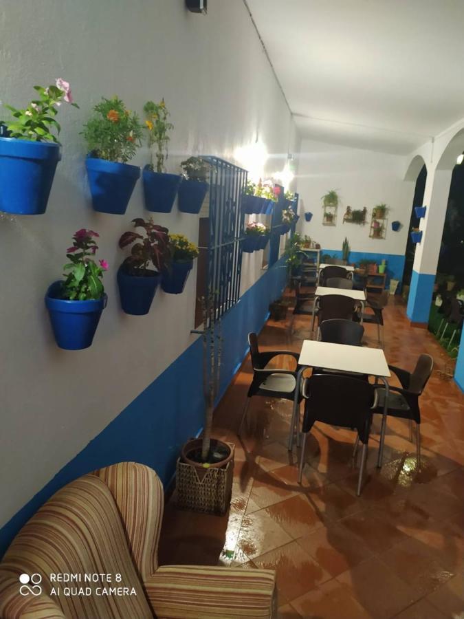 Hostal restaurante finca mirador El Pedroso Exterior foto